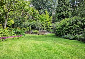 Optimiser l'expérience du jardin à Mareuil-sur-Lay-Dissais